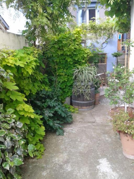Logement Independant Colmar Extérieur photo